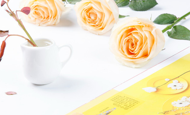 機關支部黨建工作報告全文十二篇