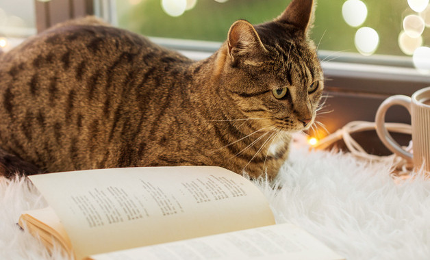 制劑車間混合崗位安全操作規程（五篇）