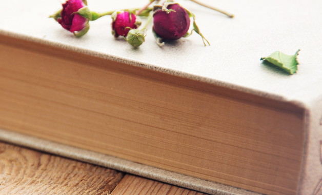 有關(guān)于社區(qū)換屆選舉工作個(gè)人總結(jié)十篇