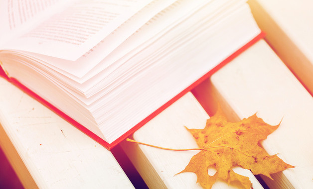 一封優秀的辭職報告 優秀辭職報告十篇