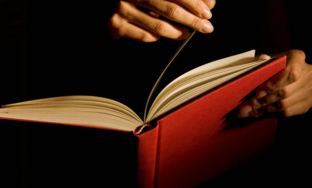 2024服裝調研報告十二篇