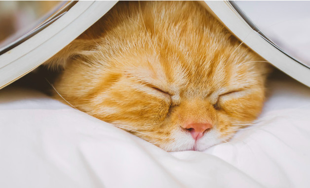 食堂財(cái)務(wù)管理制度及崗位職責(zé)（四篇）