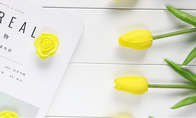 2023新教師試用期個人總結十篇