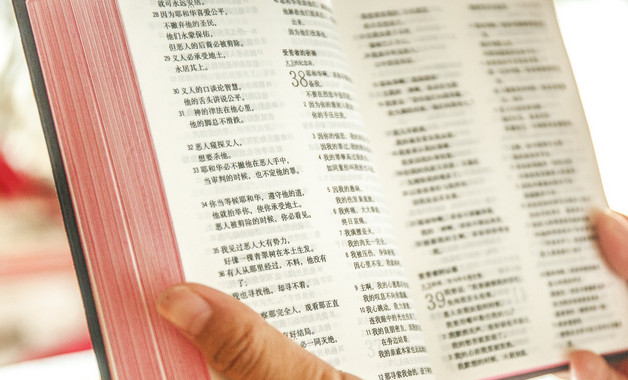 勞務工程公司簡介（6篇范文）