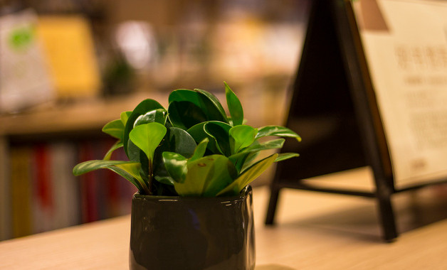 幼兒園教師管理制度-模板(十二篇)