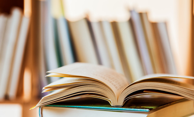 蔬菜種子公司簡介（37篇范文）