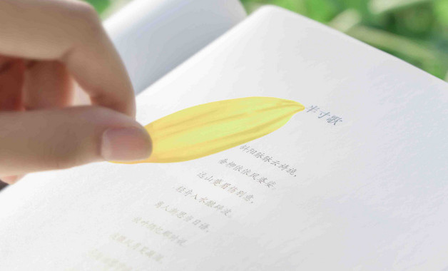 米的加油稿模板(6篇范文)