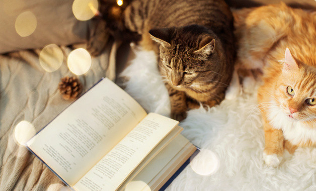 發展黨員自查情況報告十二篇