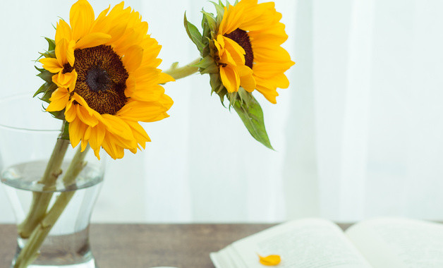 對焊機操作安全規程（十二篇）