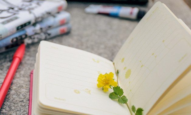 xxxx年財務出納年度工作總結十篇