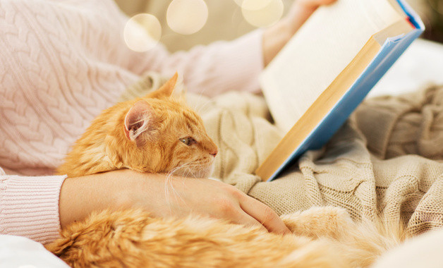 防雷、防靜電設施安全管理規(guī)定(十一篇)