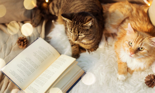 規劃公司簡介（50篇范文）