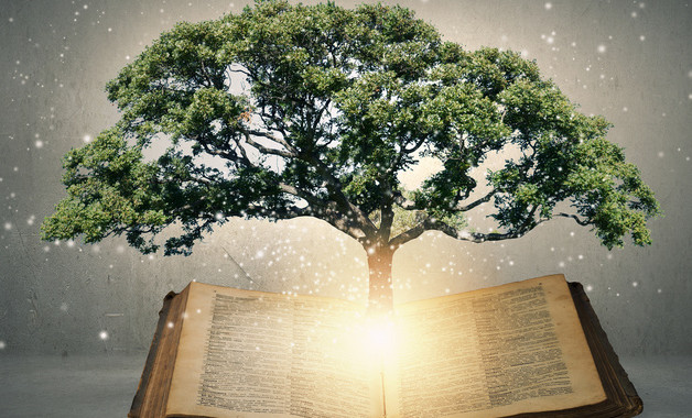 施工現場動火安全管理規定