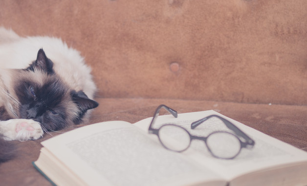 自由貿易公司簡介(50篇范文)