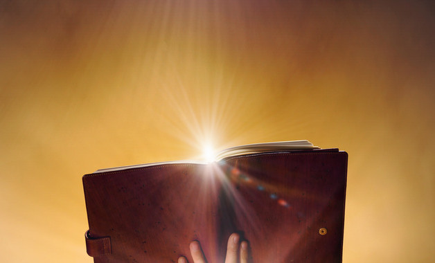 醫(yī)院后勤總結(jié)十篇