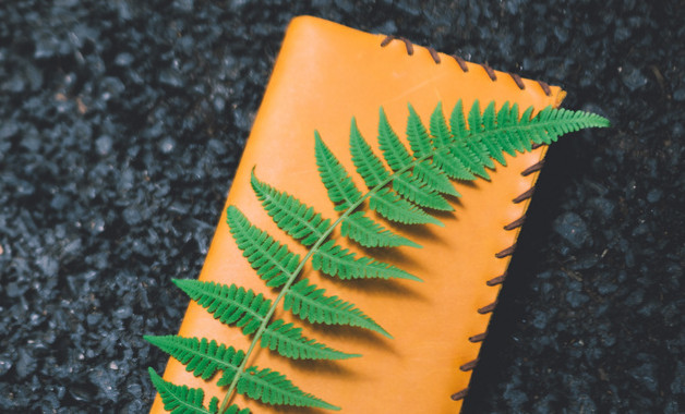 裝修管理規(guī)定1(十二篇)